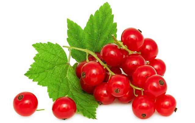 Berry sur (rødbær): plantning og pleje på det åbne område, sygdomme og behandling, nyttige egenskaber
