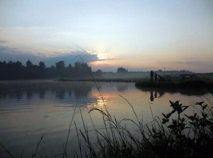 Paramonovo: fiskeri på en betalt dam. Hemmeligheder for vellykket fiskeri